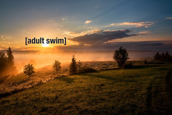 adult swim tiktok trend