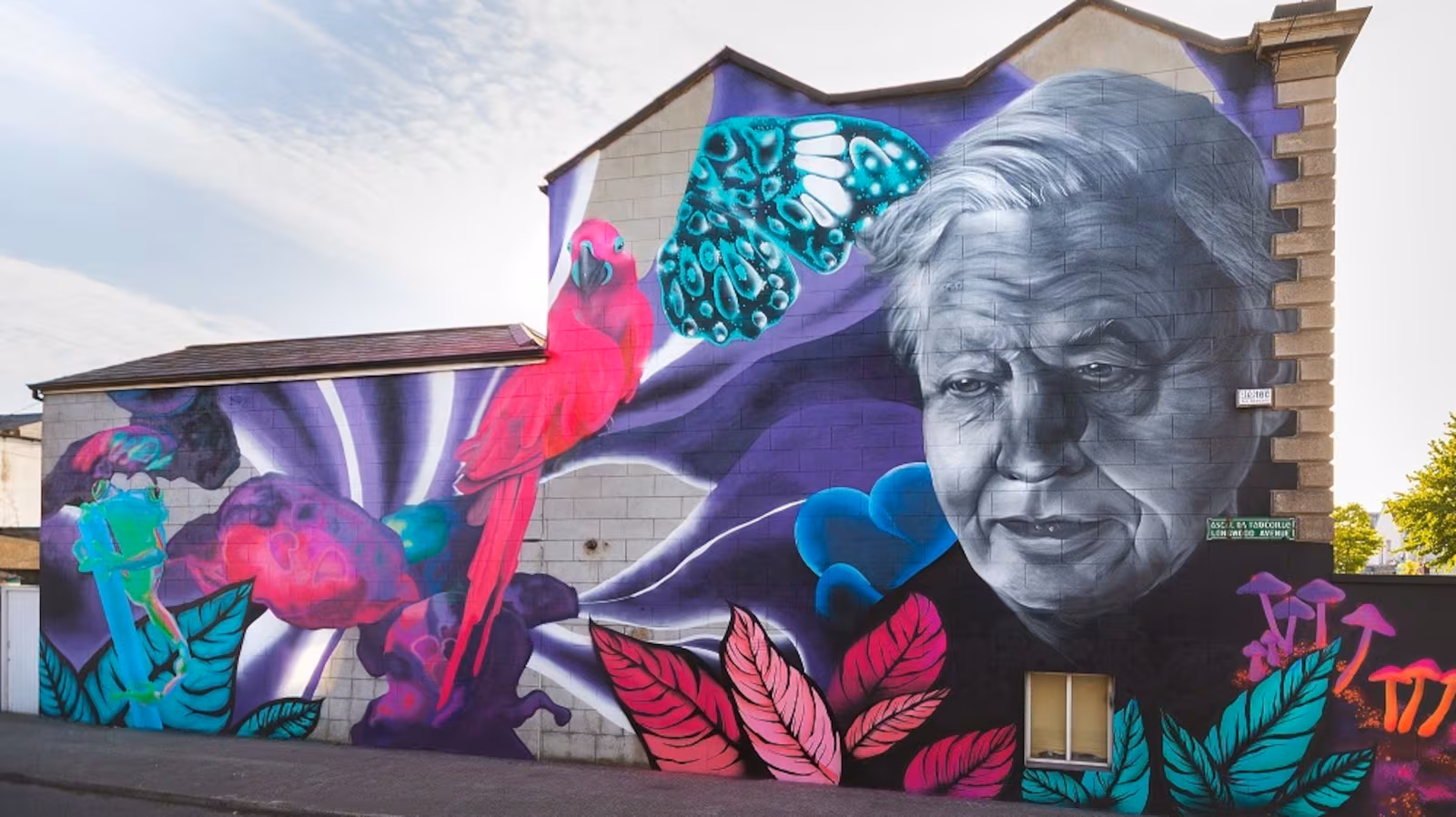 The best David Attenborough documentaries, ranked by the numbers